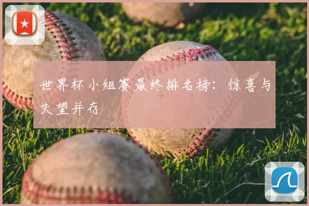 世界杯小组赛最终排名榜:惊喜与失望并存