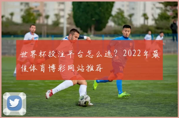 世界杯投注平台怎么选?2022年最佳体育博彩网站推荐