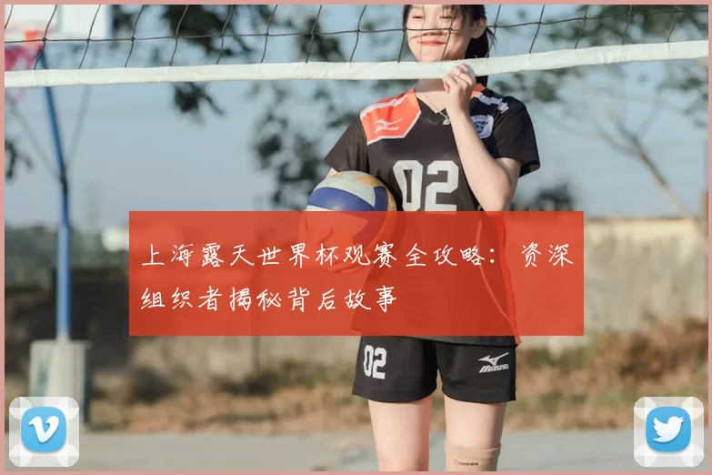 上海露天世界杯观赛全攻略：资深组织者揭秘背后故事