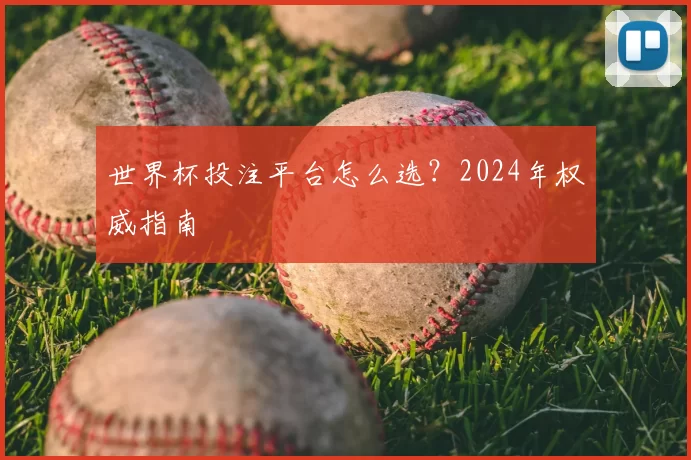 世界杯投注平台怎么选?2024年权威指南