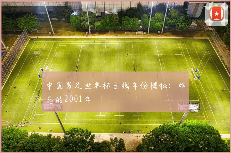 中国男足世界杯出线年份揭秘:难忘的2001年