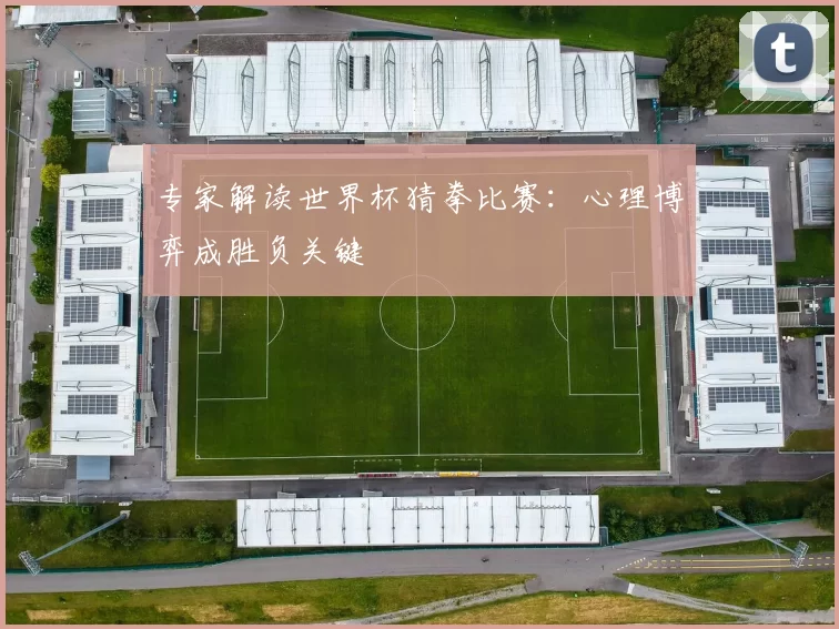 专家解读世界杯猜拳比赛：心理博弈成胜负关键