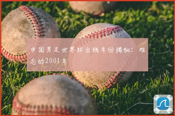 中国男足世界杯出线年份揭秘:难忘的2001年