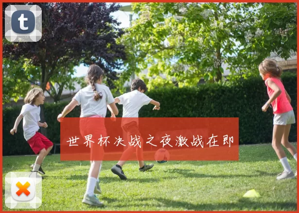 世界杯决战之夜激战在即