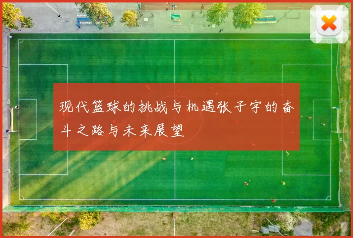 现代篮球的挑战与机遇张子宇的奋斗之路与未来展望