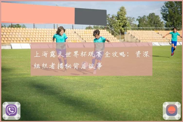 上海露天世界杯观赛全攻略：资深组织者揭秘背后故事