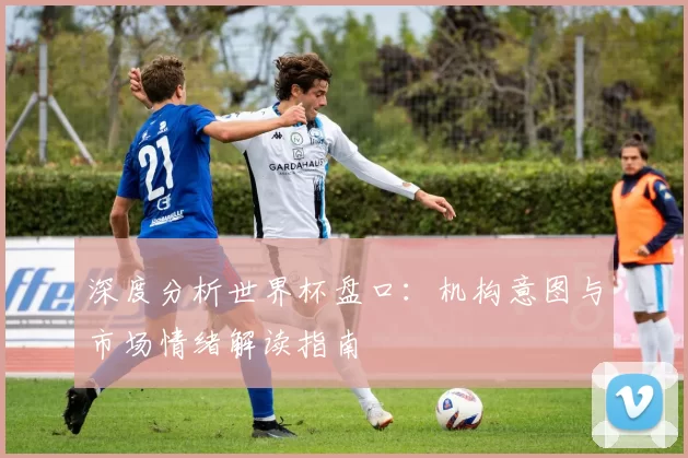 深度分析世界杯盘口：机构意图与市场情绪解读指南