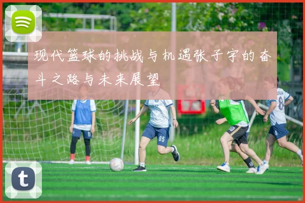 现代篮球的挑战与机遇张子宇的奋斗之路与未来展望